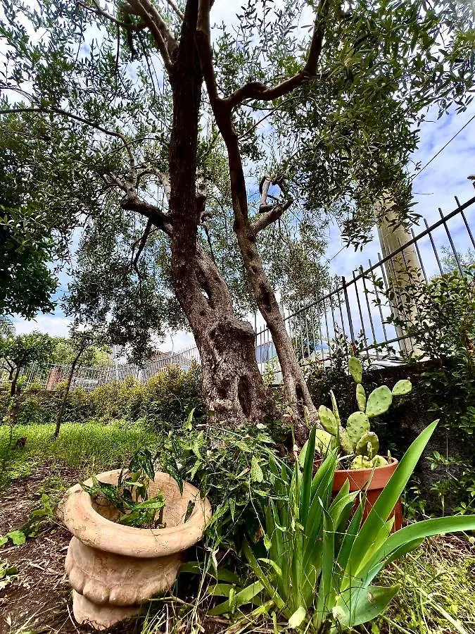 Holiday home Casa Vacanze 